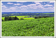 'I had to go to France to appreciate Iowa.' - Grant Wood