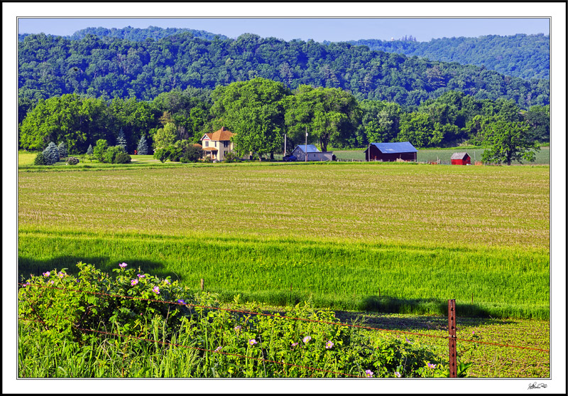 'I had to go to France to appreciate Iowa.' - Grant Wood