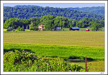 'I had to go to France to appreciate Iowa.' - Grant Wood