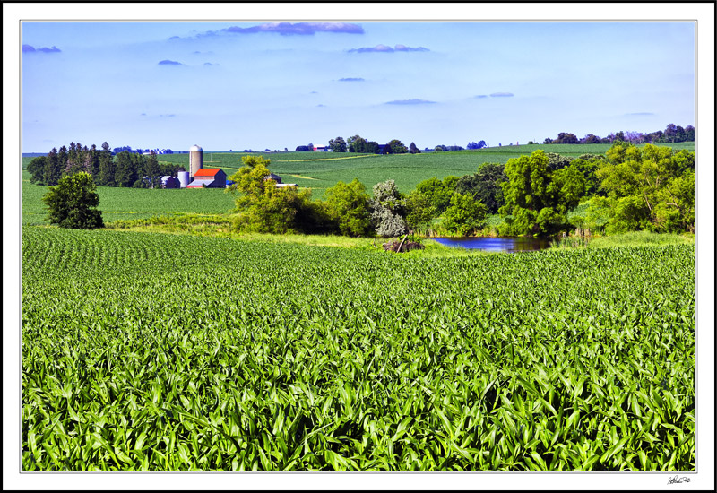 Bucolic Serenity Nestled