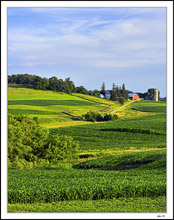 Mid-Summer Fields II