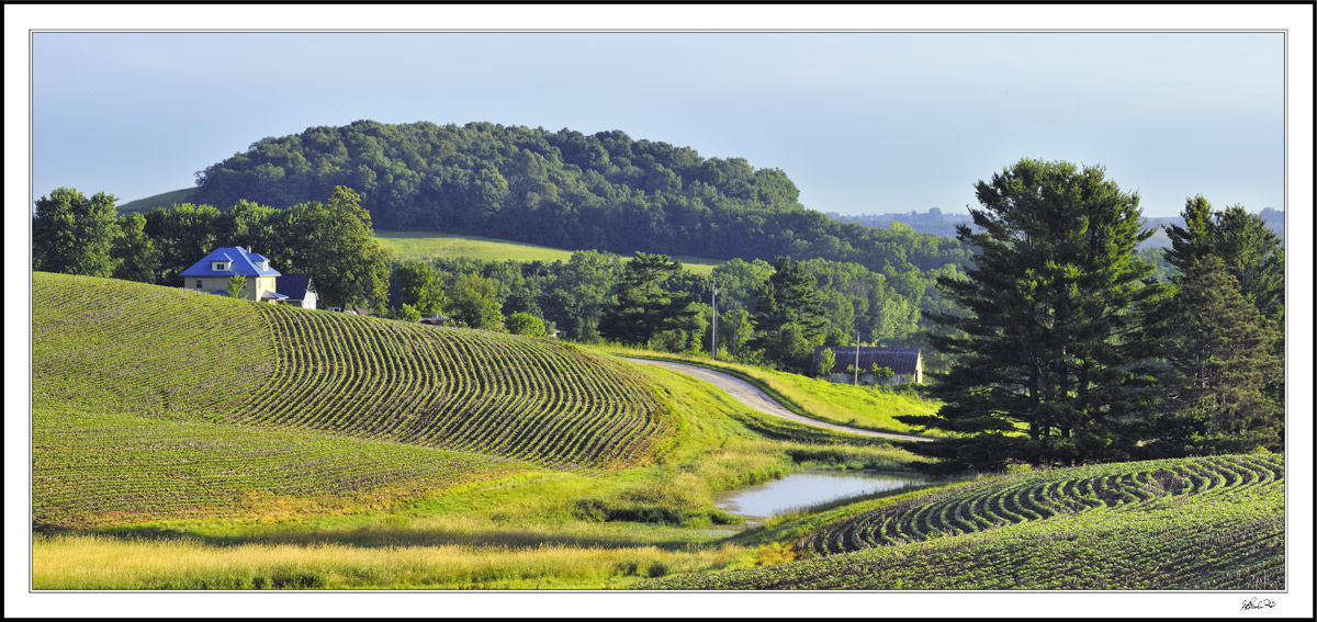 'I had to go to France to appreciate Iowa.' - Grant Wood