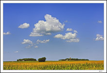 Big Sky Country II