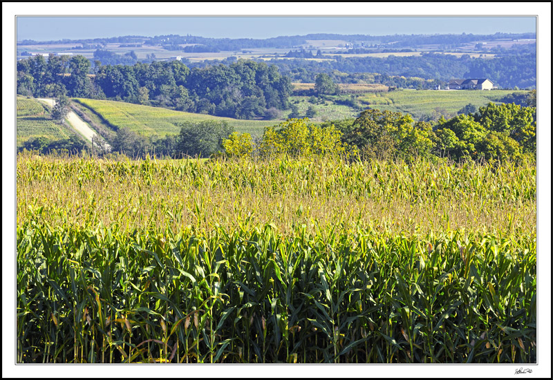 At The Edge Of Yellow River Forest