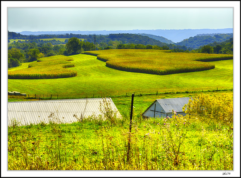 Along Sweet Ridge Drive