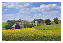 West Of Festina - A Postcard