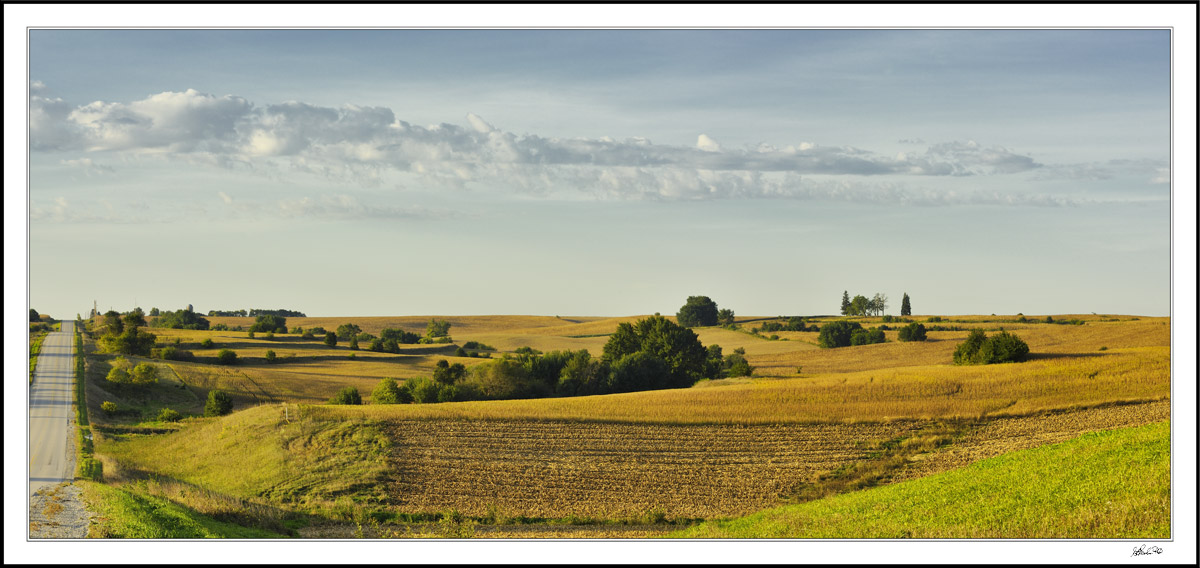 Cloud And Field Forms