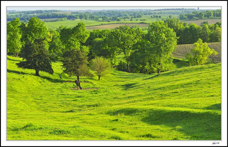 Rolling Into A Sylvan Glade