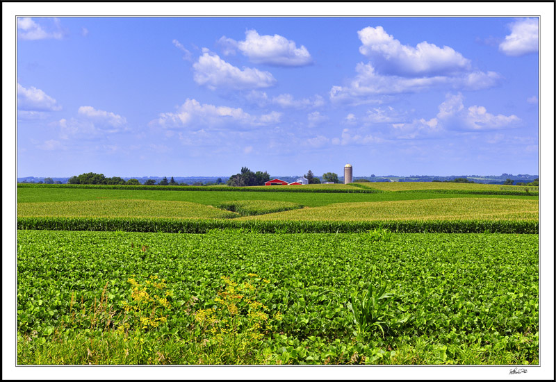 Farmland Variety