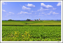 Farmland Variety