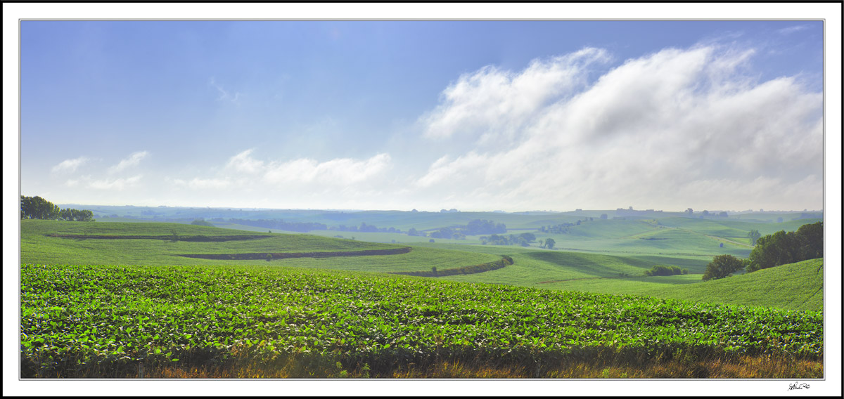 Sweeping Vista