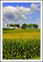 Tall Corn Horizon