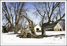 Lightning Strike Some Years Back