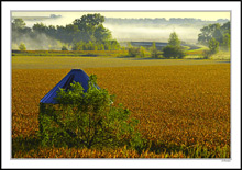 Chichaqua Flats Morning