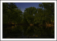 Moonrise Vernal Pond