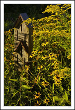 Buttery Blossoms Tree House