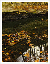 Autumn Falls On The Stream II