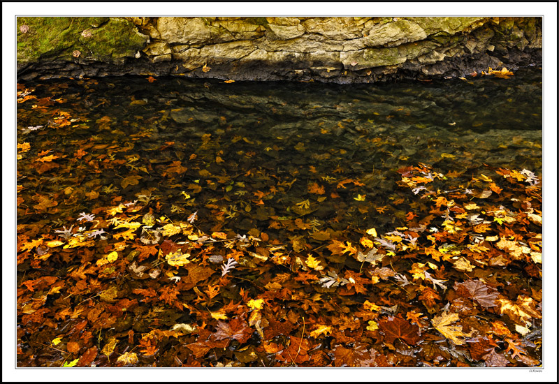 A Stream Of Autumn Color