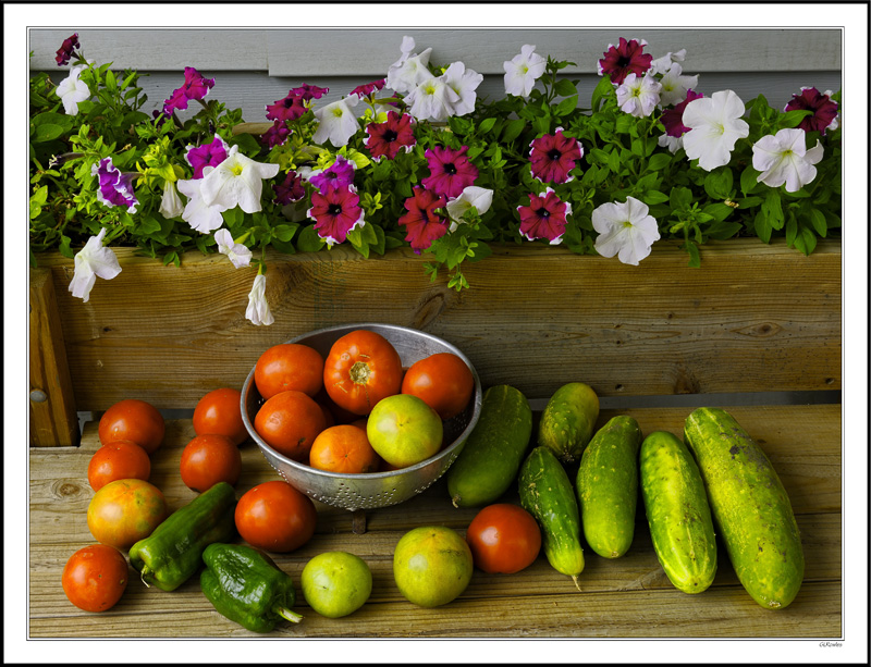 Garden Gifts To Neighbors