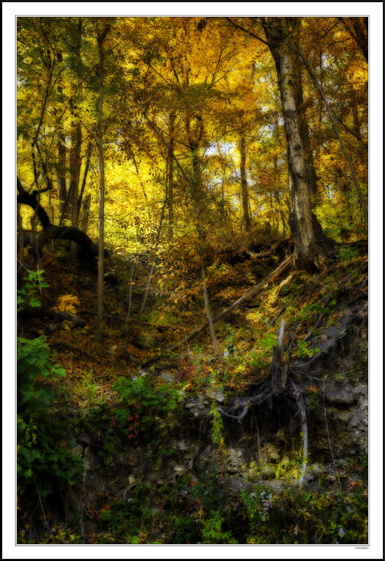 Heavenly Glow on the Ridge