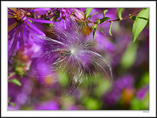 Sparkling Light Spray On Color