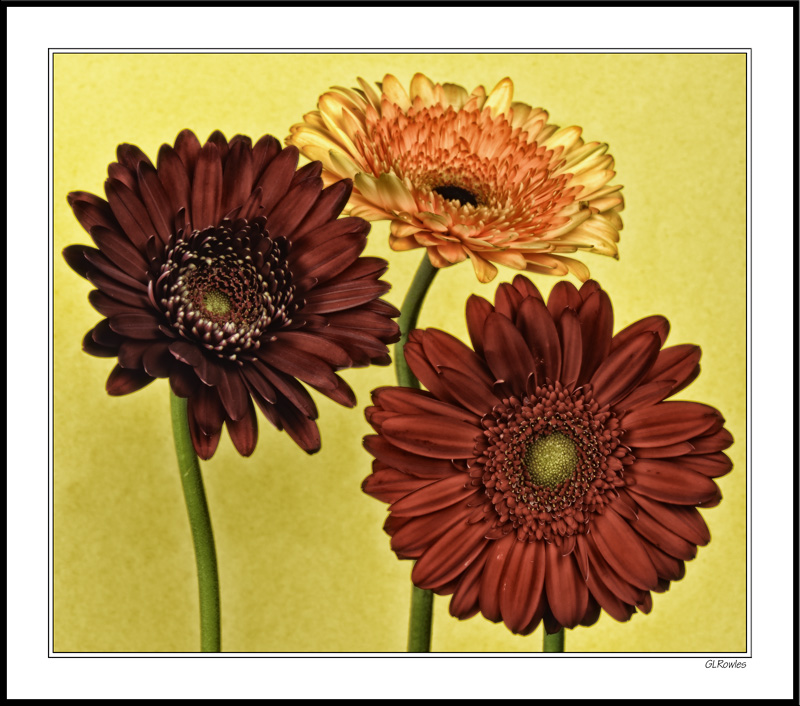 Kitchen Bouquet