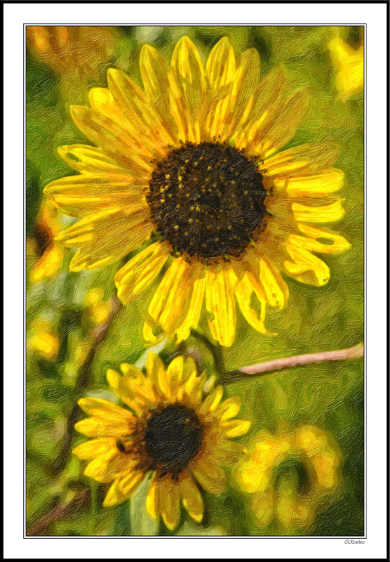 Monet's Sunflowers