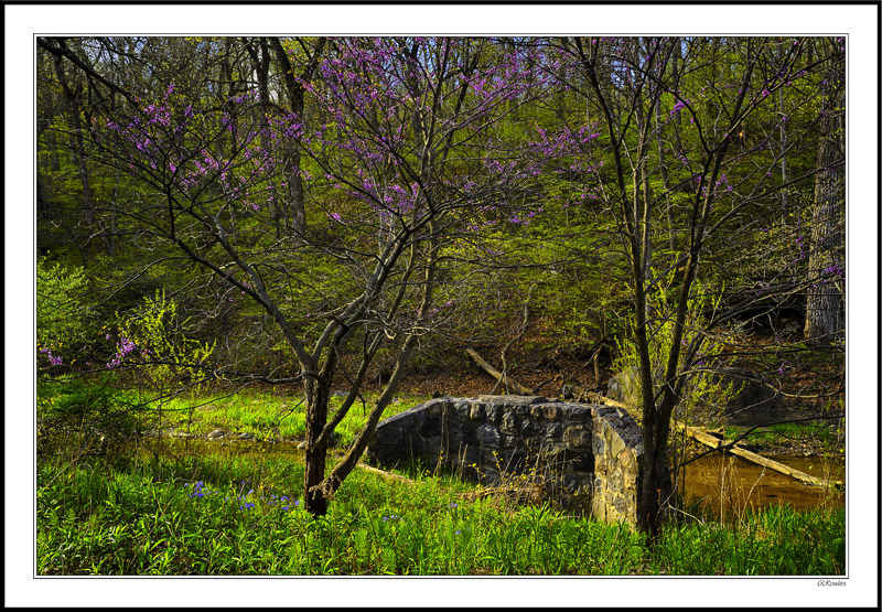 Red Bud Bridge