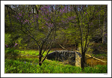 Red Bud Bridge