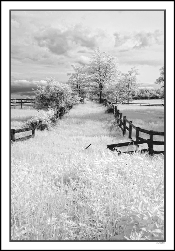 Fenced Meadow