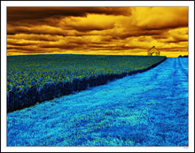 Storm Crops Up On The Horizon - Blue