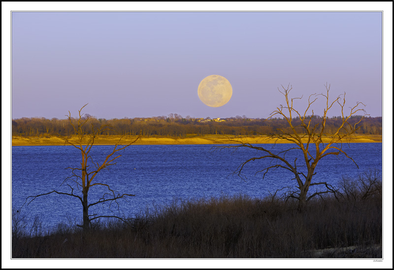 Super Moon Rising I