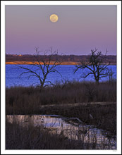 Super Moon Rising II