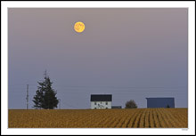 The Harvest Moon Begins Its Slow Rise II