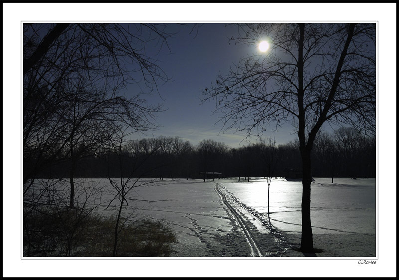 Moonlight Tracks