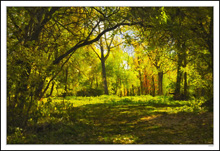 Rapture in a Wooded Grotto