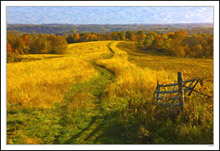 An Autumn Grassland Trail