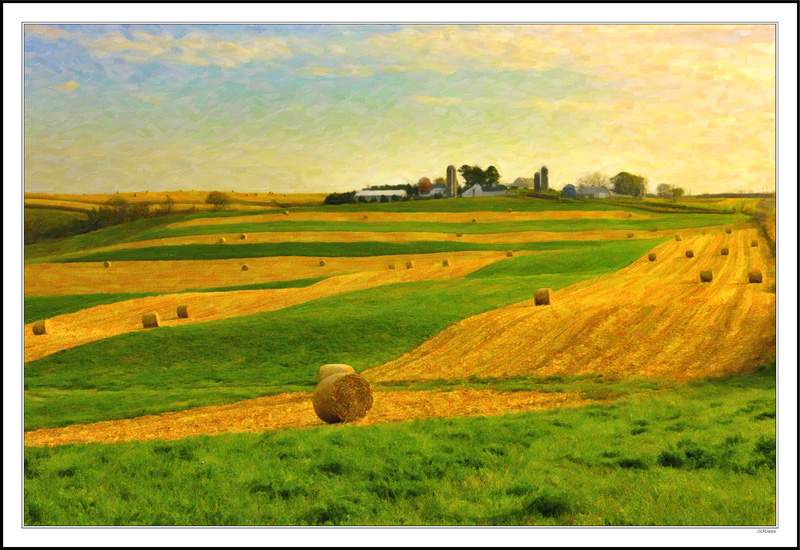 Rolled Bales on Golden Ribbons