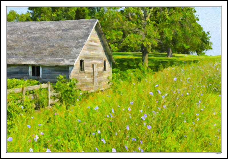 Chickory Dotted Grasses