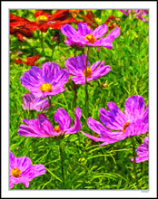 Colorful Floral Cups Catching Sunlight I