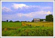 Blown Grass and Barn Quilt