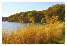 Golden Waves and Fall Colors