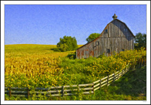 Maximilian Sunflowers and Golden Grain