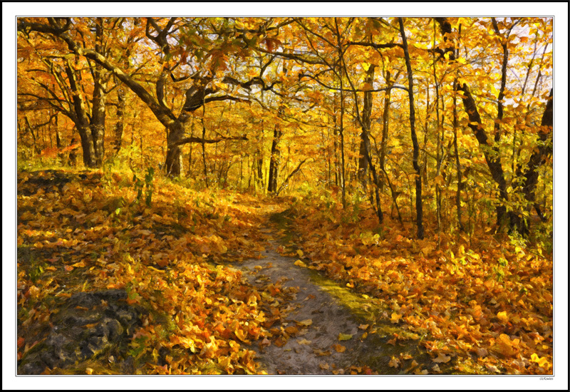 Autumn Scents, Crunchy Footsteps