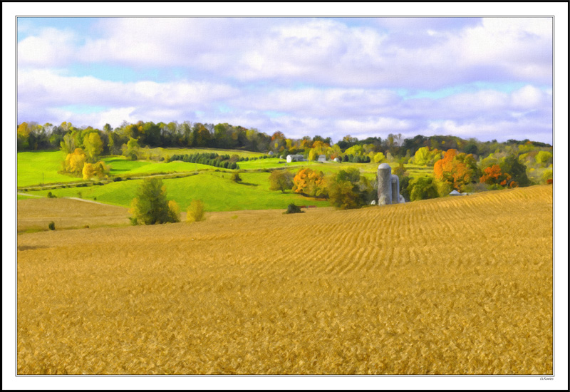 Crop Rows, Evergreen Rows, Windbreak Rows, Cloud Rows