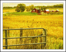 Autumn On The Farmstead