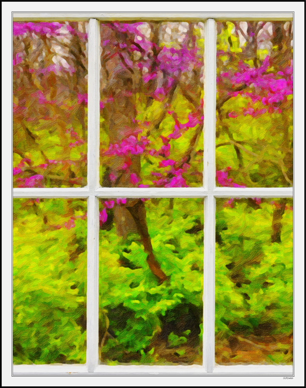 Through My Window - Magenta Red Buds I