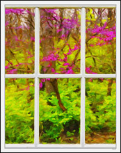 Through My Window - Magenta Red Buds I