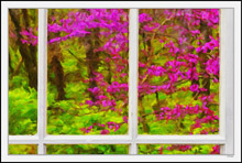 Through My Window - Magenta Red Buds II