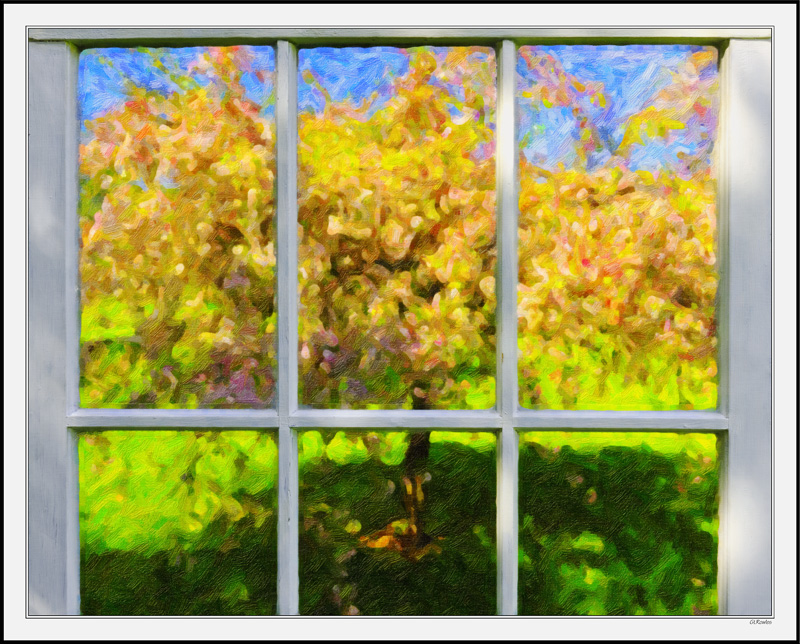 Through My Window - Apple Blossoms X